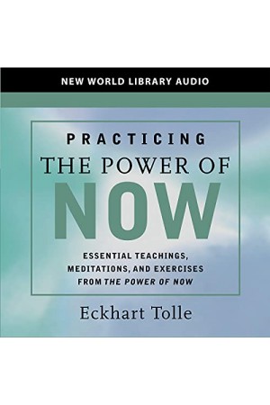 Practicing the Power of Now {mp3}