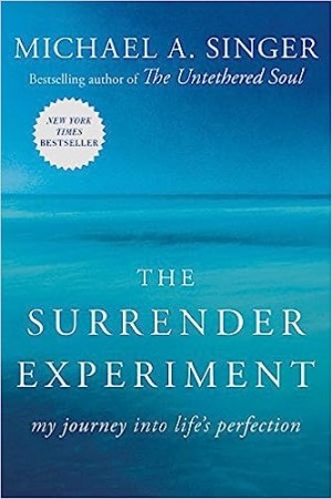 The Surrender Experiment: My Journey into Life's Perfection (PDF)